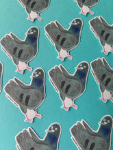 Load image into Gallery viewer, Rocky The Pigeon Vinyl Sticker
