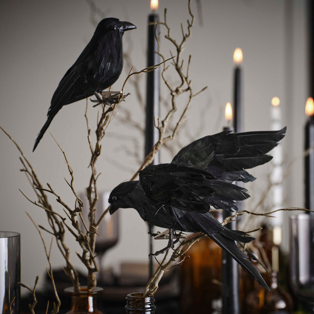 Black Crow Decorations