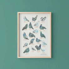Load image into Gallery viewer, Pigeon Collective Art Print
