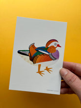 Load image into Gallery viewer, Mandarin Duck Postcard
