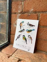 Load image into Gallery viewer, Collection of Tits Postcard
