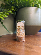 Load image into Gallery viewer, Double Circle Gold Plated &amp; Sterling Silver Studs in Glass Terrarium Tube
