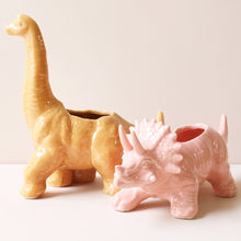 Load image into Gallery viewer, Pink Triceratops Ceramic Dinosaur Planter
