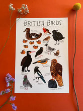 Load image into Gallery viewer, British Birds Art Print
