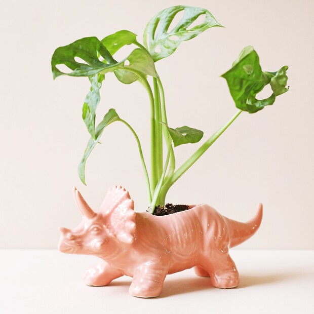 Pink Triceratops Ceramic Dinosaur Planter