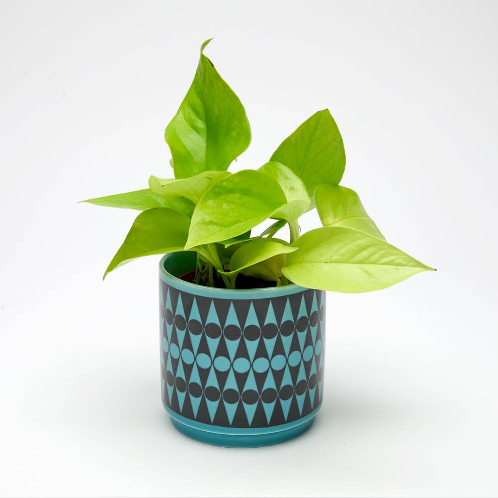 Magpie x Hornsea Small Plant Pot in Backgammon Teal