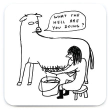 Load image into Gallery viewer, David Shrigley Coaster What The Hell
