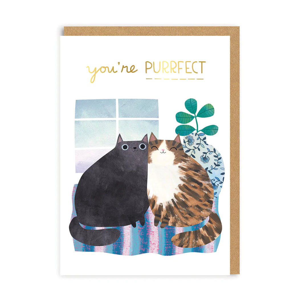 Love Cats Greetings Card
