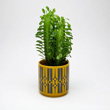 Load image into Gallery viewer, Magpie x Hornsea Medium Plant Pot in Geo Chartreuse
