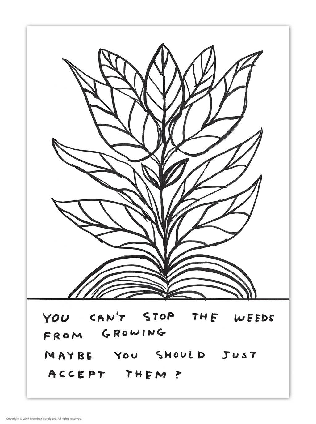 You Can't Stop the Weeds David Shrigley Postcard